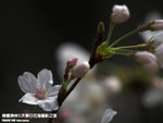 P3289772