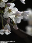 P3289777