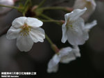 P3289788