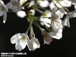 P3289790