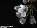 P3289792
