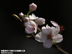 P3289795