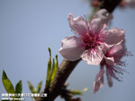 P3289805