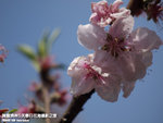 P3289806