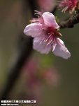 P3289816