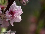 P3289824
