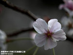P3289828
