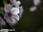 P3289829