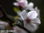 P3289830