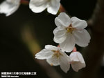 P3289840