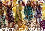 Dolce& Gabanna7