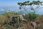 IMG_2559