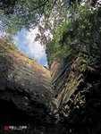 IMG_3454