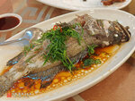 IMG_20250812_175307