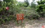 LAM00586