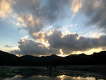 IMG_8882