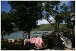 IMG_2802