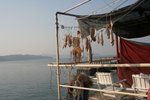 IMG_5916