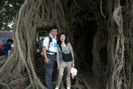 IMG_0185C