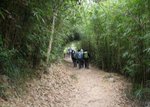 IMG_0253
