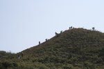 IMG_4049