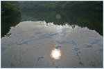 鶴 藪 水 塘 中 有 個 太 陽
IMG_0007