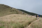IMG_1923