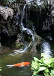 IMG_9168
