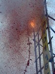 IMG_8415
