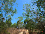 H1010589