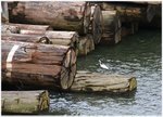 IMG_5688