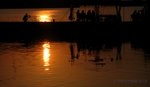 IMG_6439