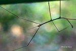 IMG_6599r