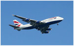 IMG_5008-a