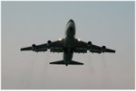 IMG_8529