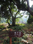 H1181288