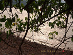 H1181322