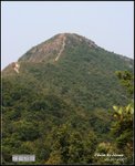 回望馬頭峰
IMG_4334
