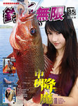 v85_Coverpage
