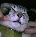 40174892_2adfdc4a1159632258