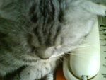 DSC00336