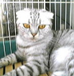 P10-04-05_09.12[1]