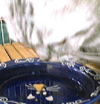 P10-04-05_09.21[6]