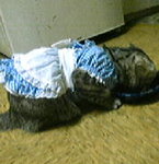 P12-08-07_21.11