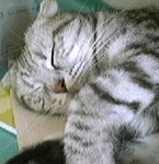 P12-28-07_12.50[1]
