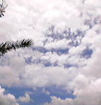 P07-03-07_12.38