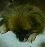 P07-26-07_22.12