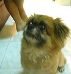 P07-27-07_22.33