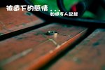 IMG_6638