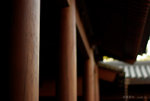 IMGP7071s1c